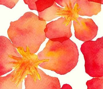 Bright Flowers 5 Wallpaper AJ Wallpaper 