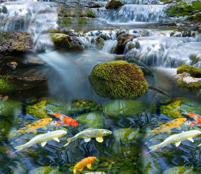 3D River Fishes Floor Mural Wallpaper AJ Wallpaper 2 