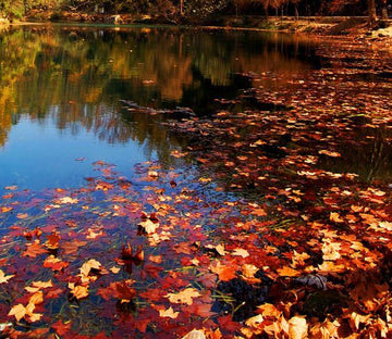 3D Floating Leaves Floor Mural Wallpaper AJ Wallpaper 2 