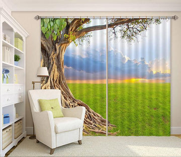 3D Lawn Tree Roots 113 Curtains Drapes Wallpaper AJ Wallpaper 