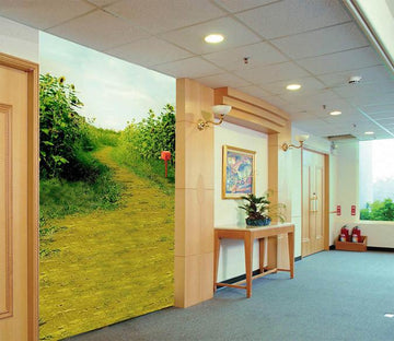 Sunflowers Fields Path Wallpaper AJ Wallpaper 