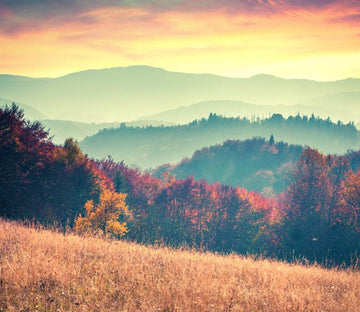 Rolling Hills 8 Wallpaper AJ Wallpaper 