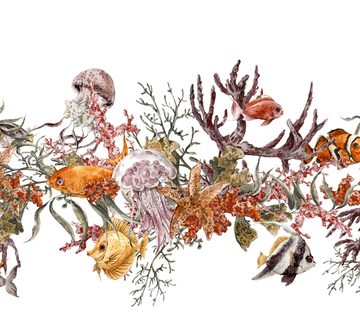 Sea Plants Fishes Wallpaper AJ Wallpaper 