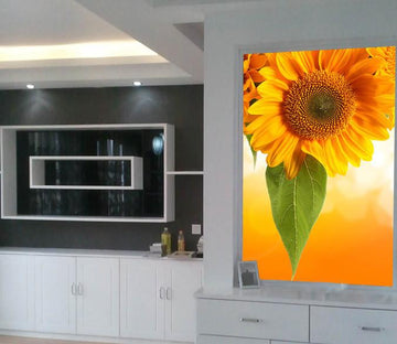 Orange Chrysanthemums 1 Wallpaper AJ Wallpaper 