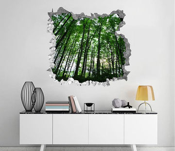 3D Forest Green Trees 201 Broken Wall Murals Wallpaper AJ Wallpaper 