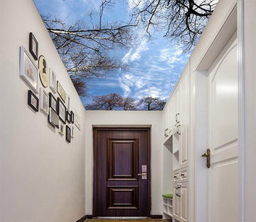 Blue Sky Bare Trees Wallpaper AJ Wallpaper 