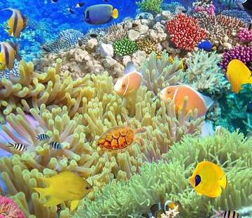 3D Beautiful Corals Floor Mural Wallpaper AJ Wallpaper 2 