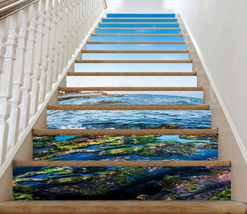 3D Seaside Color Swamp 492 Stair Risers Wallpaper AJ Wallpaper 