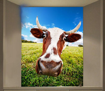 Funny Cattle Wallpaper AJ Wallpaper 
