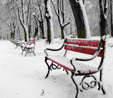 Snowed Park Wallpaper AJ Wallpaper 