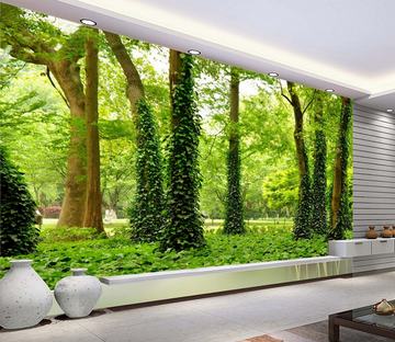 Vines Twine Trees Wallpaper AJ Wallpaper 