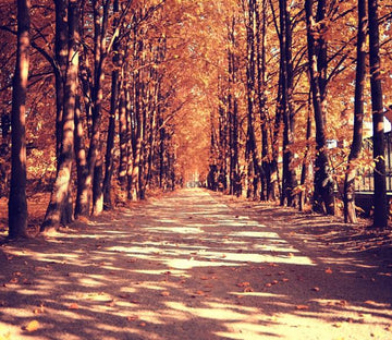 Romantic Boulevard Wallpaper AJ Wallpaper 