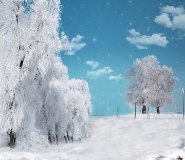 Snowcapped World 1 Wallpaper AJ Wallpaper 