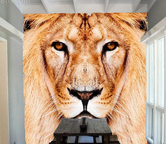 Lion Head Wallpaper AJ Wallpaper 
