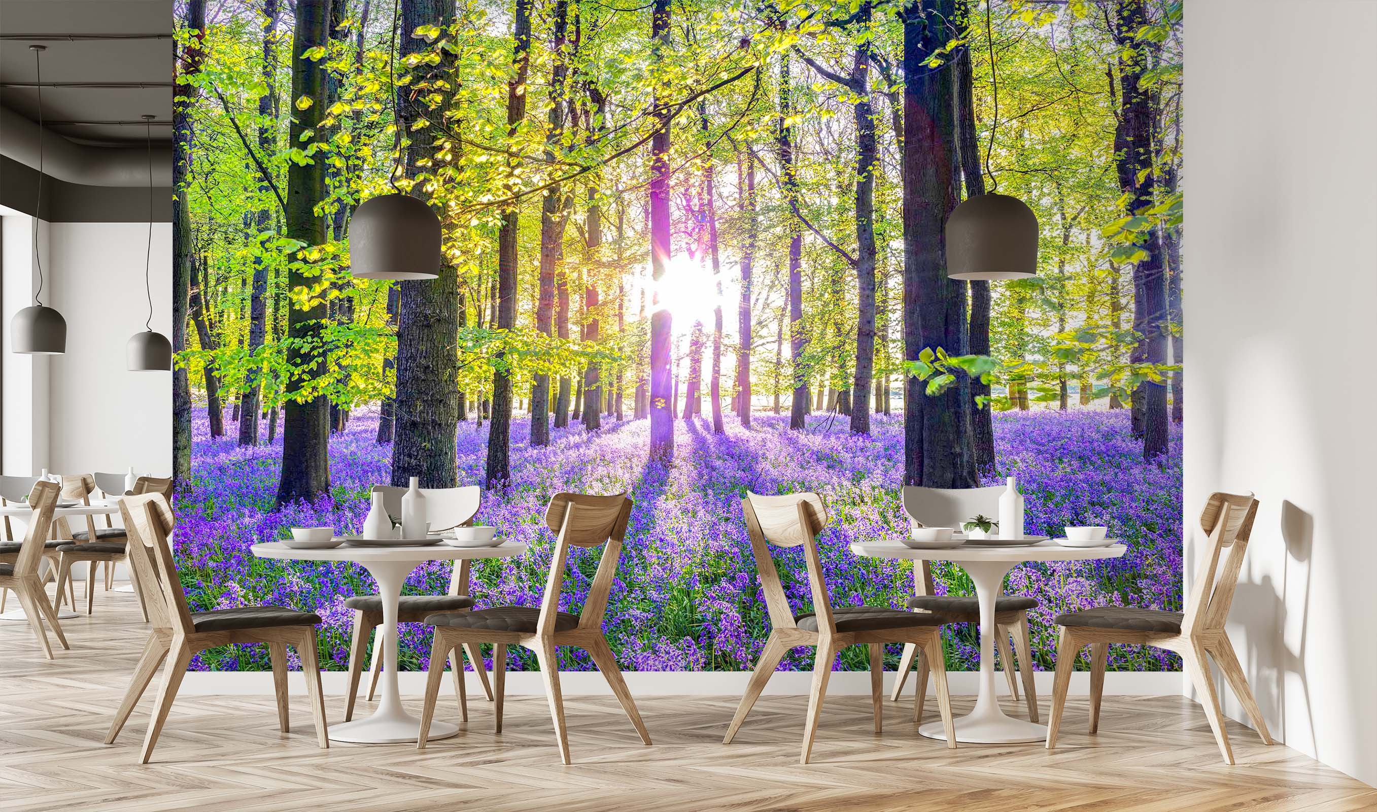 3D Shade Sunshine 1415 Assaf Frank Wall Mural Wall Murals