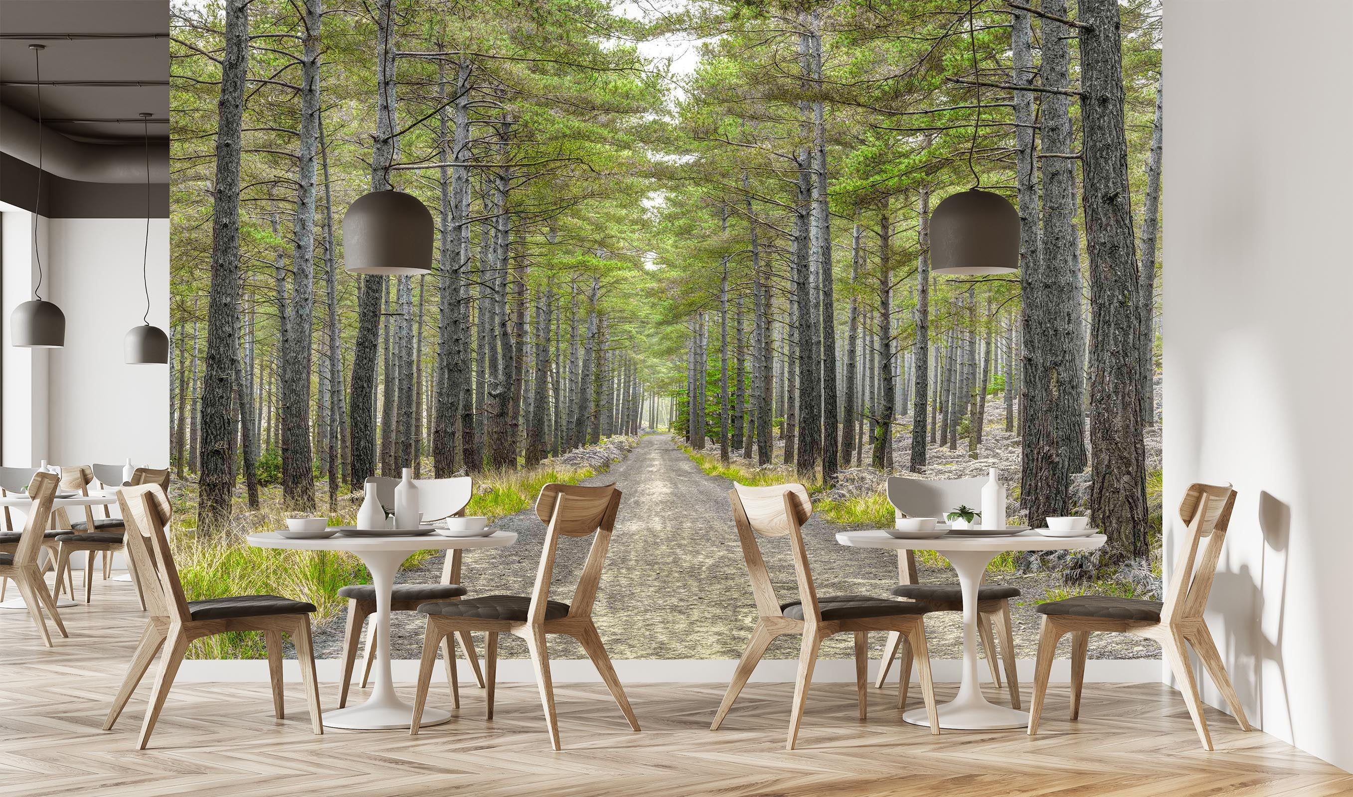 3D Autumn Woods 1432 Assaf Frank Wall Mural Wall Murals