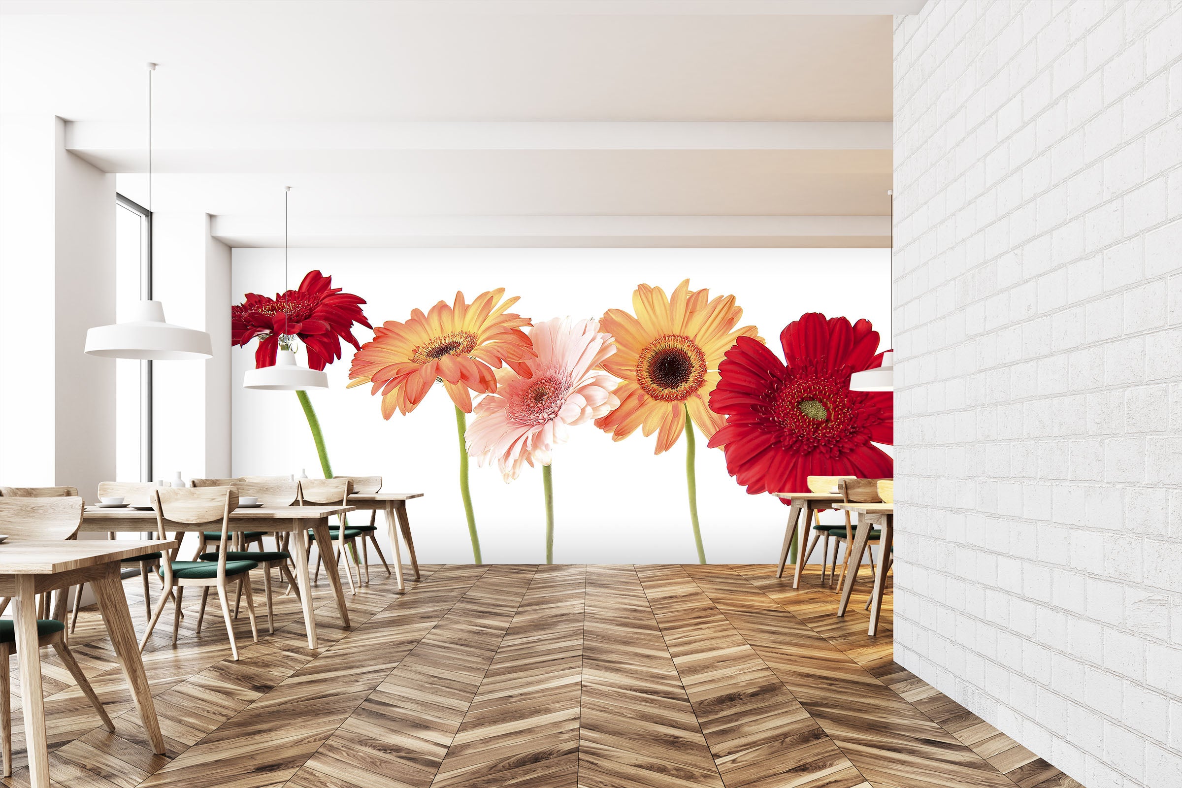 3D Gerbera Daisy 100 Kathy Barefield Wall Mural Wall Murals