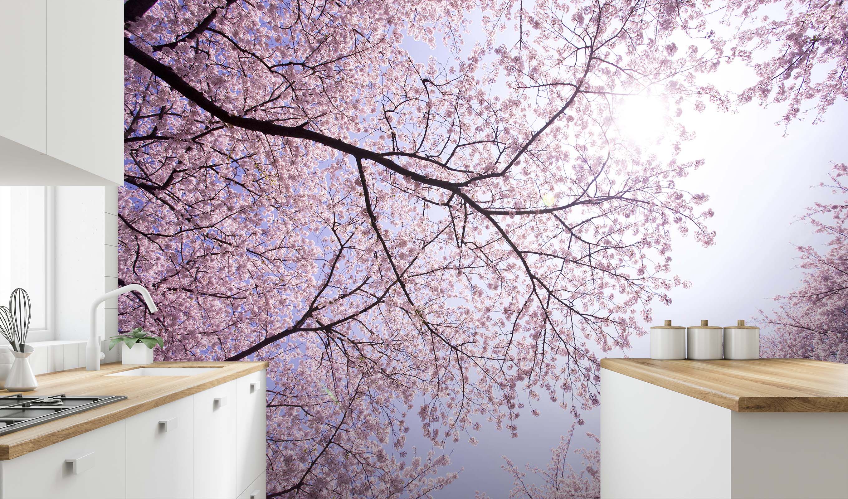 3D Cherry Blossom Ceiling 149 Wall Murals