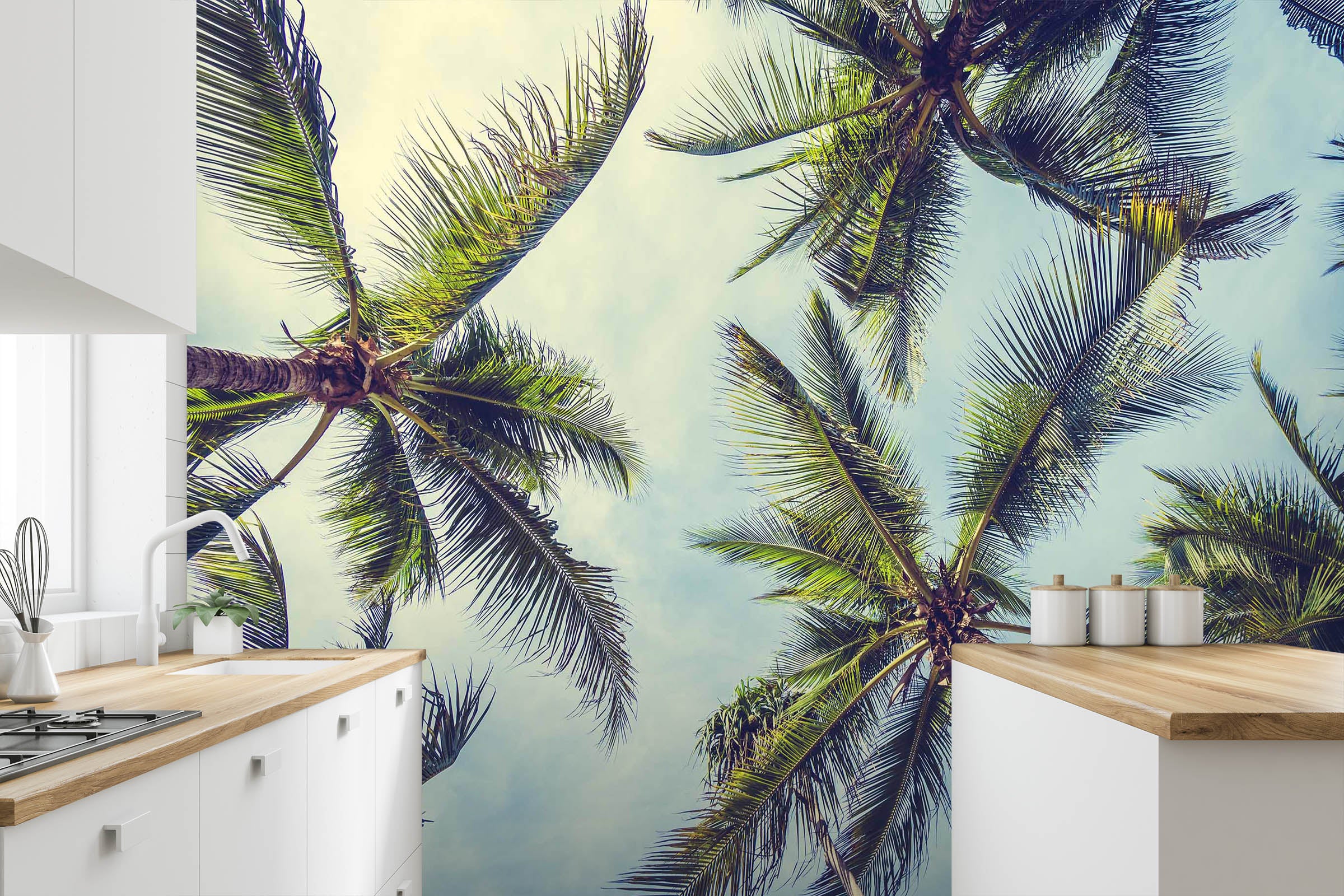 3D Coconut Tree 88 Wall Murals