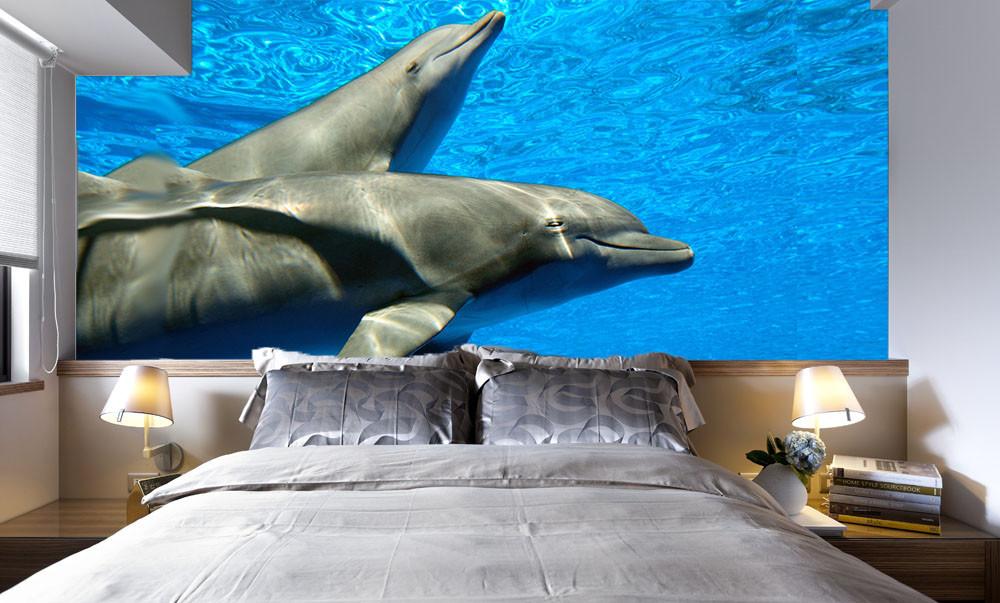 Sleeping Dolphins Wallpaper AJ Wallpaper 