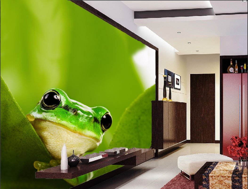Green Frog Wallpaper AJ Wallpaper 