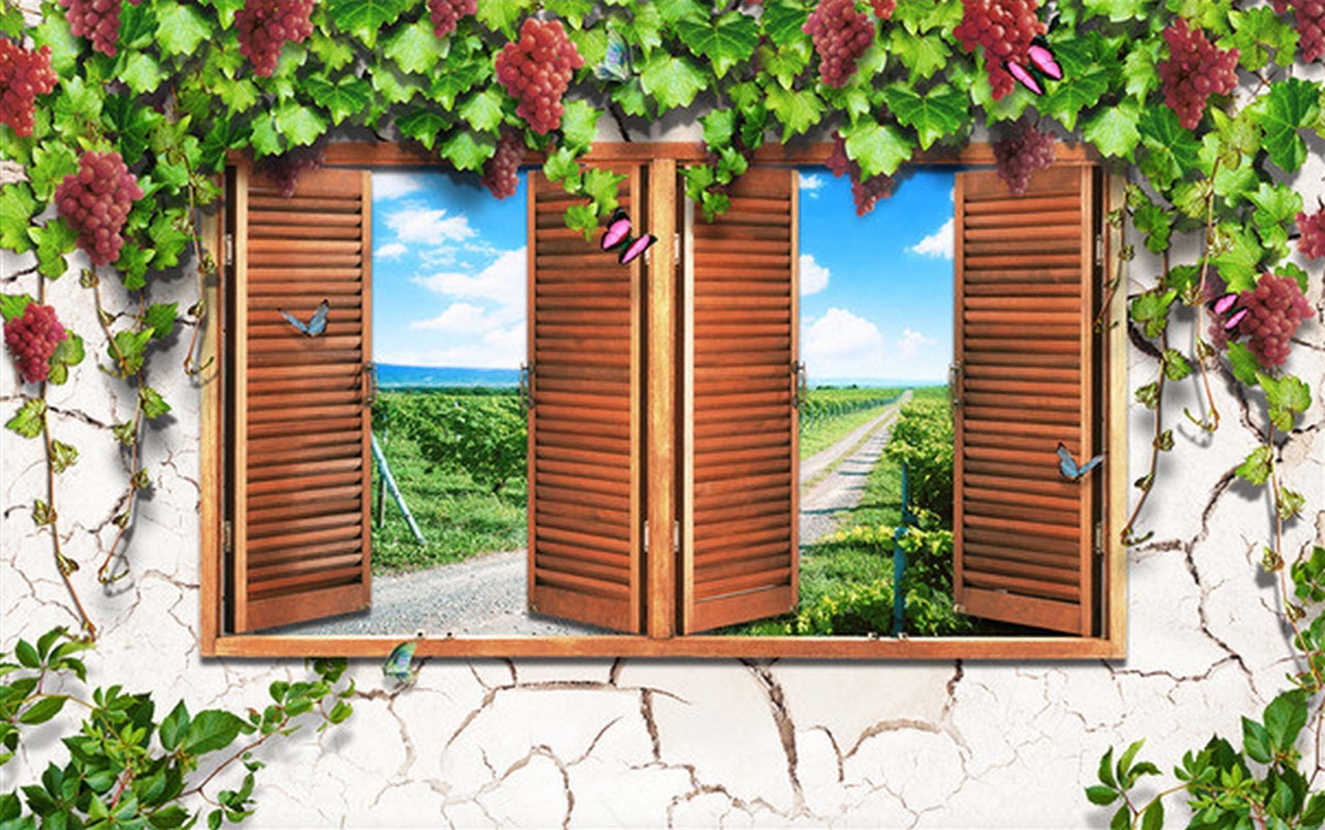 3D Windows Grape Vines 34 Garage Door Mural Wallpaper AJ Wallpaper 