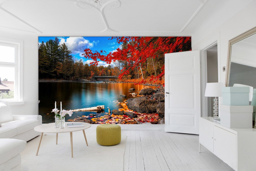 Redwood Tree And Beauty Scenery 9 Wallpaper AJ Wallpaper 1 