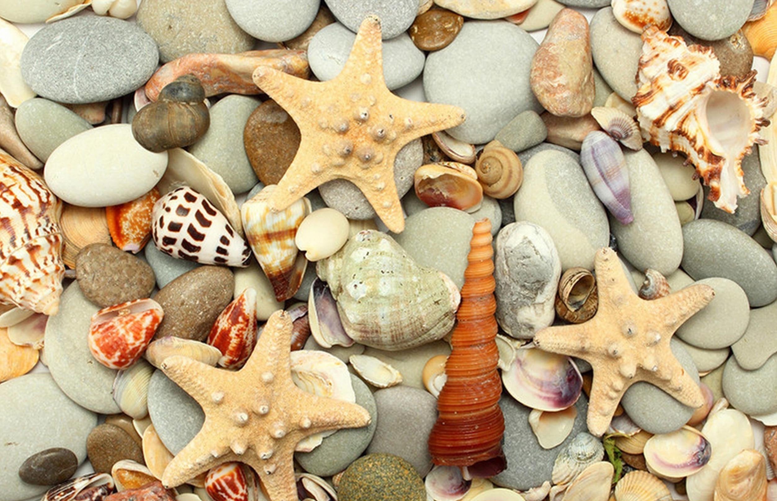3D Stones Starfishes 151 Kitchen Mat Floor Mural Wallpaper AJ Wallpaper 