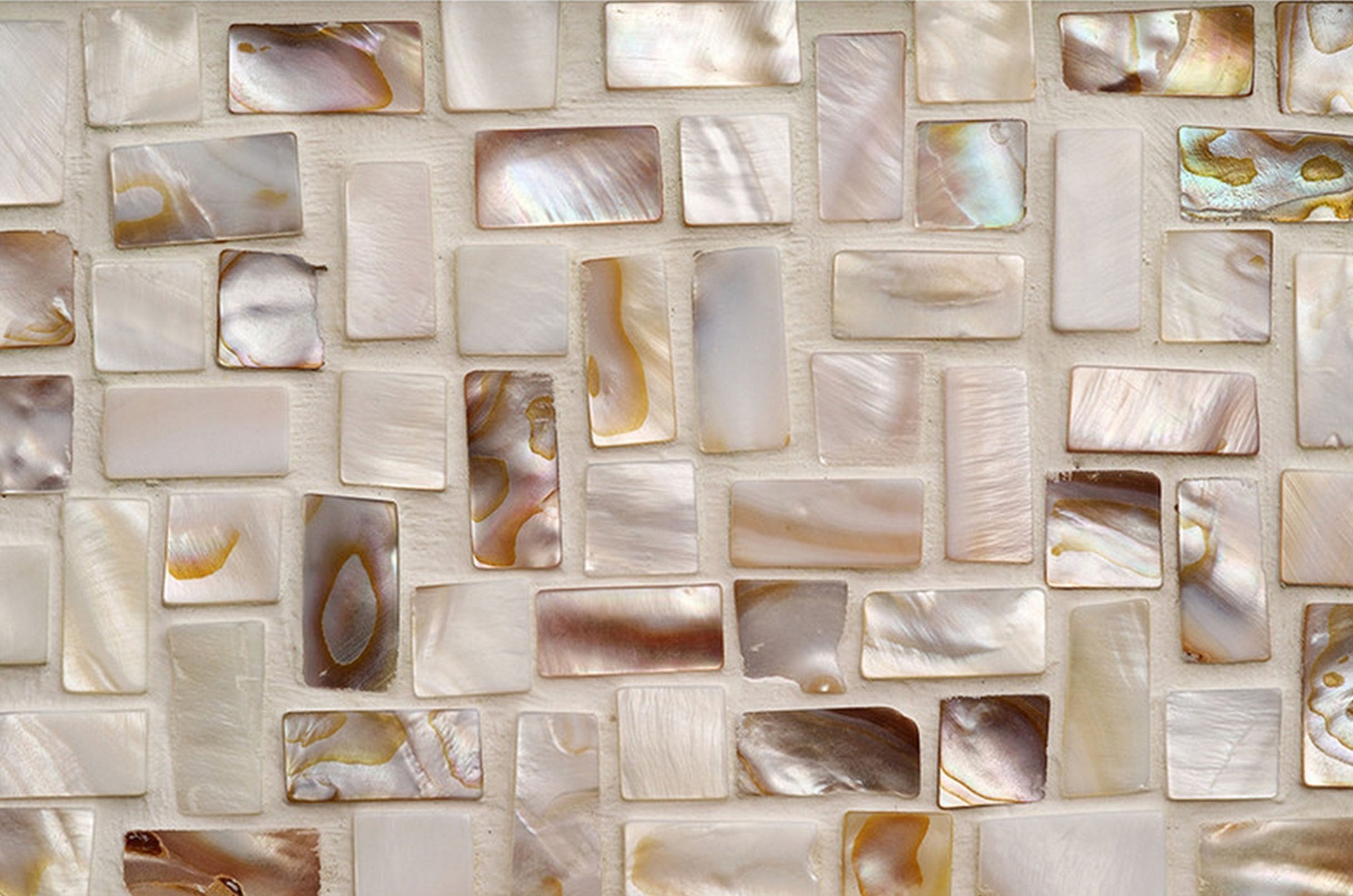 3D Shells Slices 167 Kitchen Mat Floor Mural Wallpaper AJ Wallpaper 