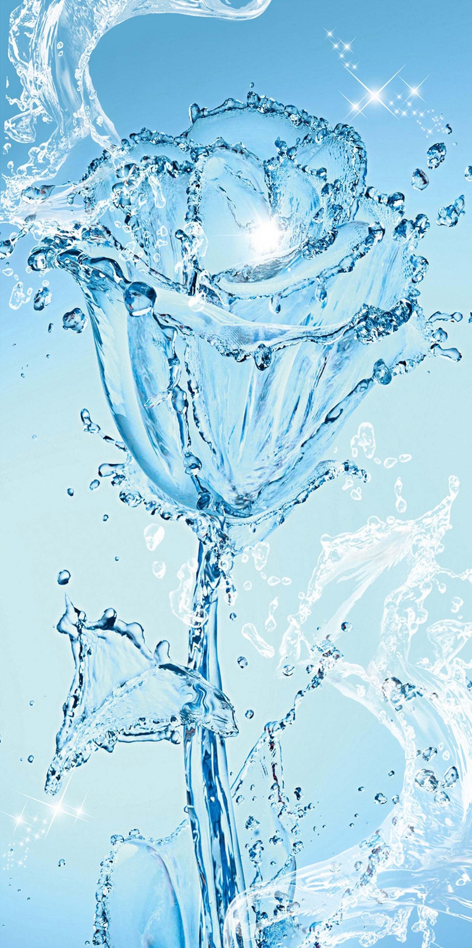 3D Pretty Water Flower 1517 Stair Risers Wallpaper AJ Wallpaper 