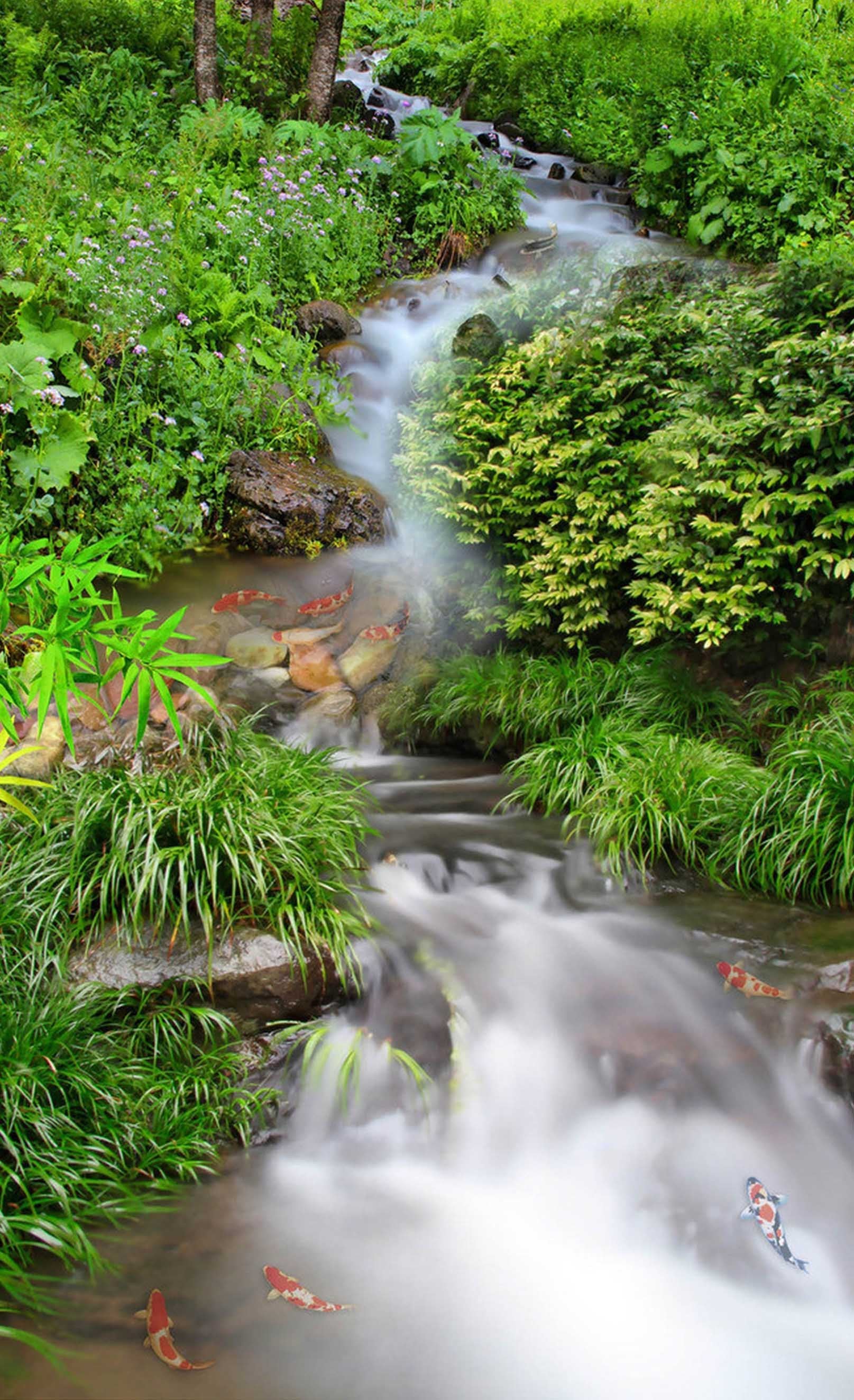 3D Creek Fishes 432 Stair Risers Wallpaper AJ Wallpaper 