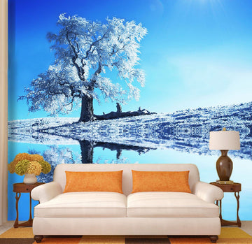 Winter Warm Sun Wallpaper AJ Wallpaper 