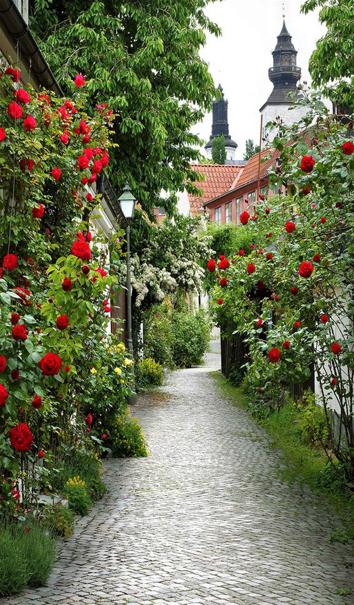 3D Roadside Flowers 85 Door Mural Wallpaper AJ Wallpaper 