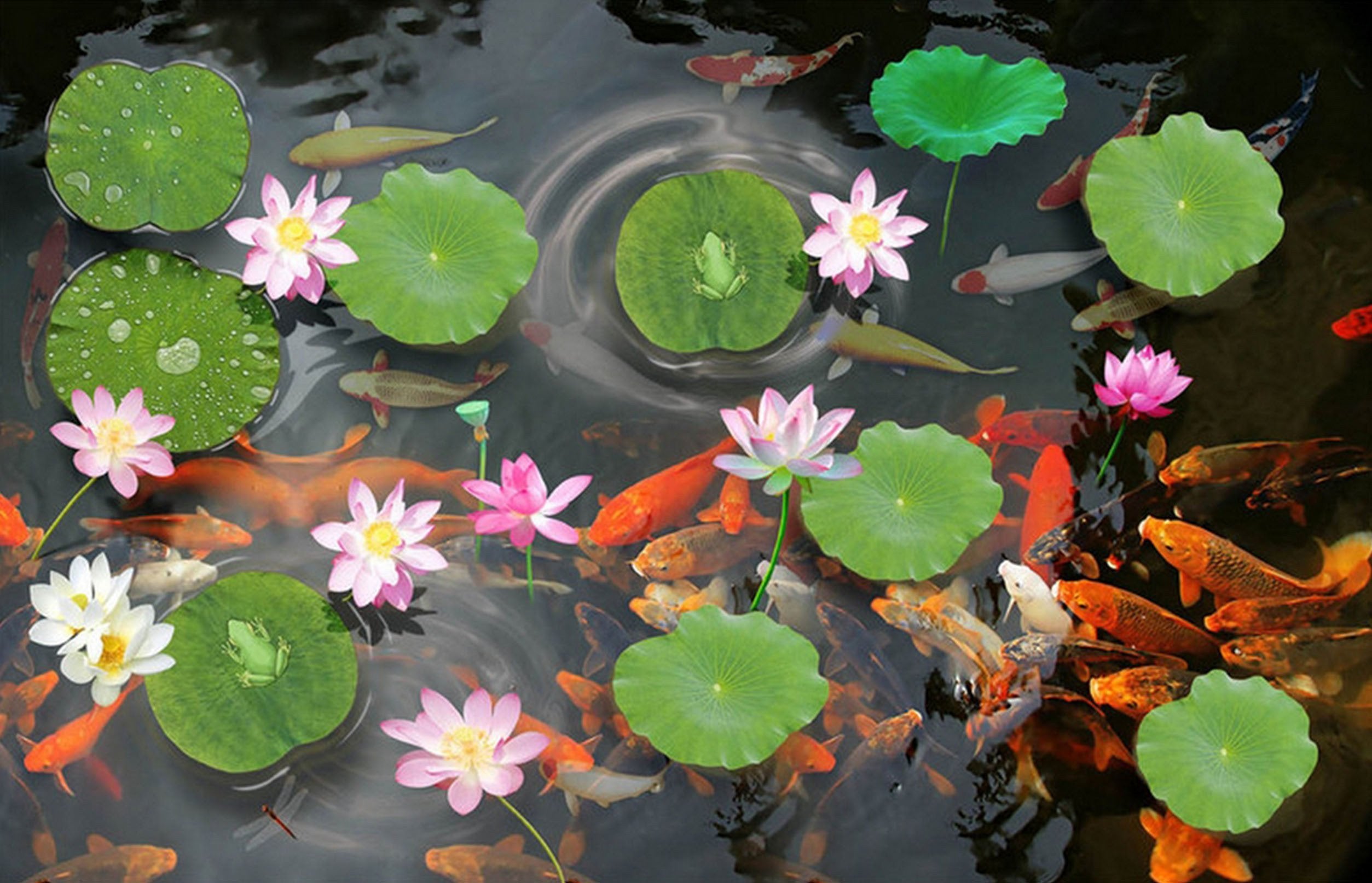 3D Lively Fish Pond 139 Kitchen Mat Floor Mural Wallpaper AJ Wallpaper 