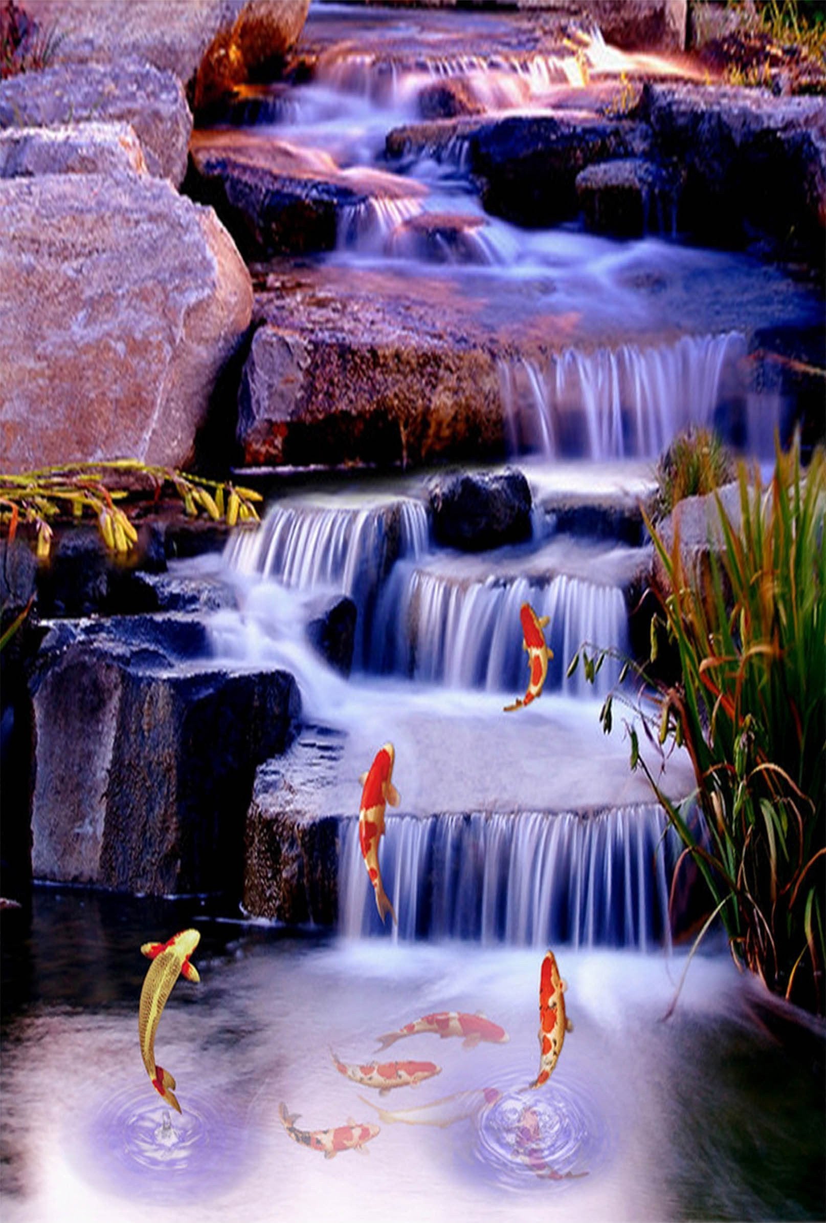 3D Creek Carps 1428 Stair Risers Wallpaper AJ Wallpaper 