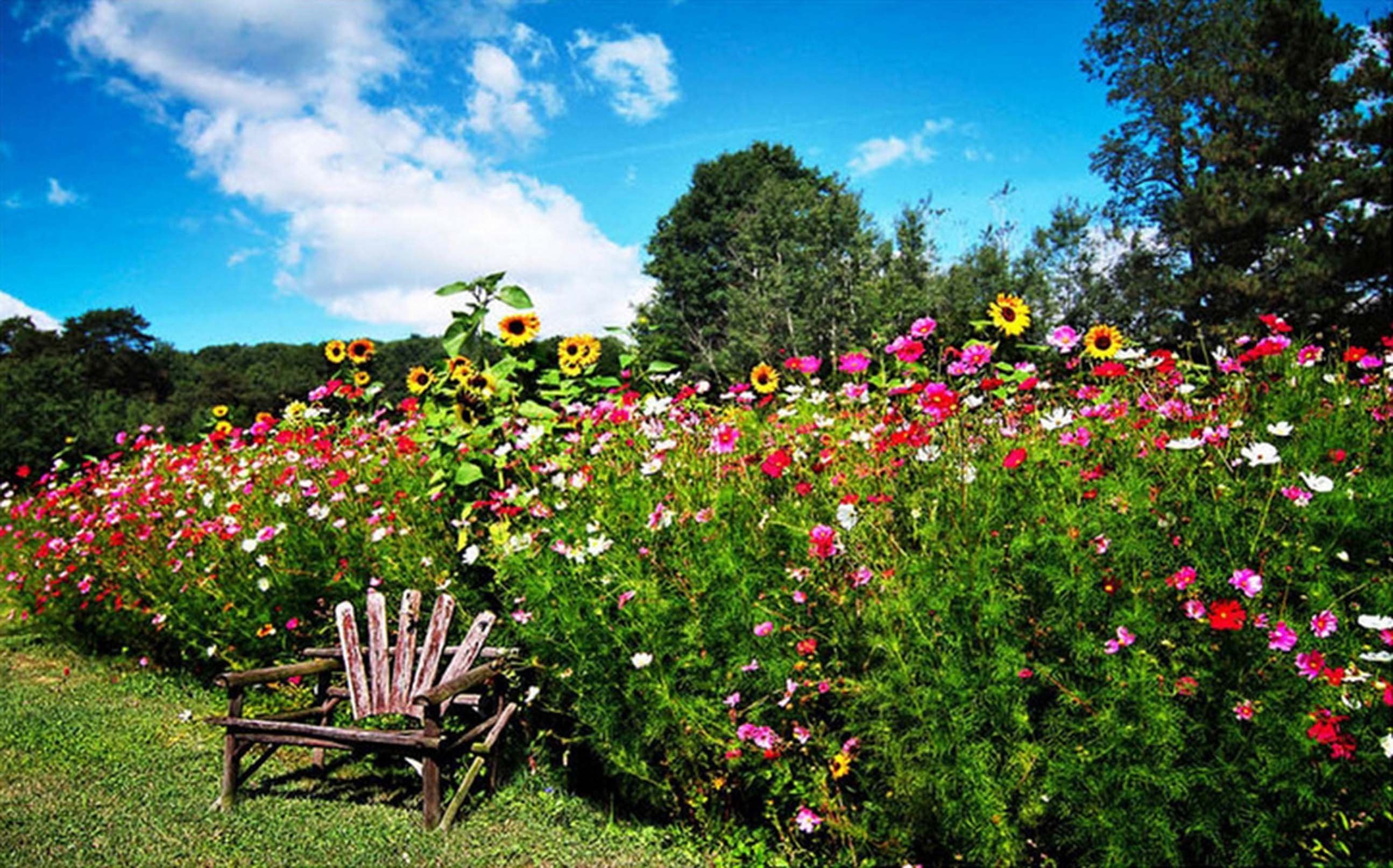 3D Lush Flowers 55 Garage Door Mural Wallpaper AJ Wallpaper 