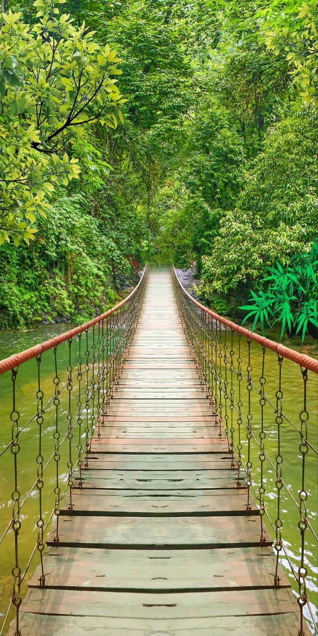 3D Forest River Wood Drawbridge 87 Door Mural Wallpaper AJ Wallpaper 