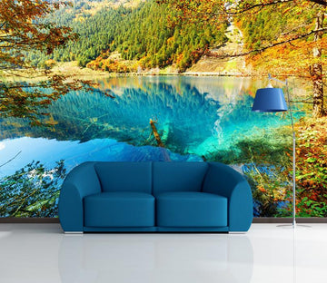 3D Jungle Lake Hill Plants 77 Wallpaper AJ Wallpaper 