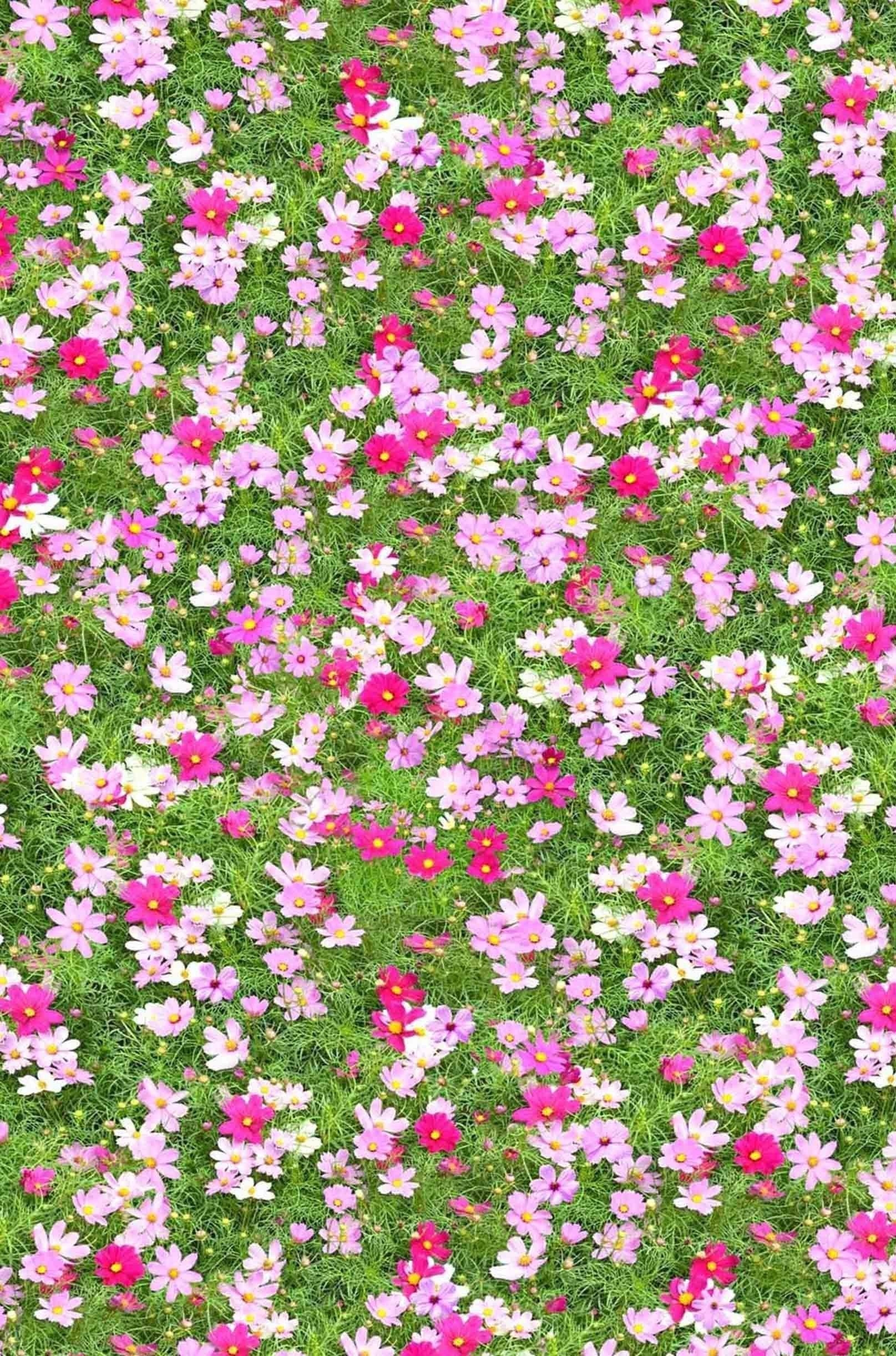 3D Grassland Flowers 1417 Stair Risers Wallpaper AJ Wallpaper 