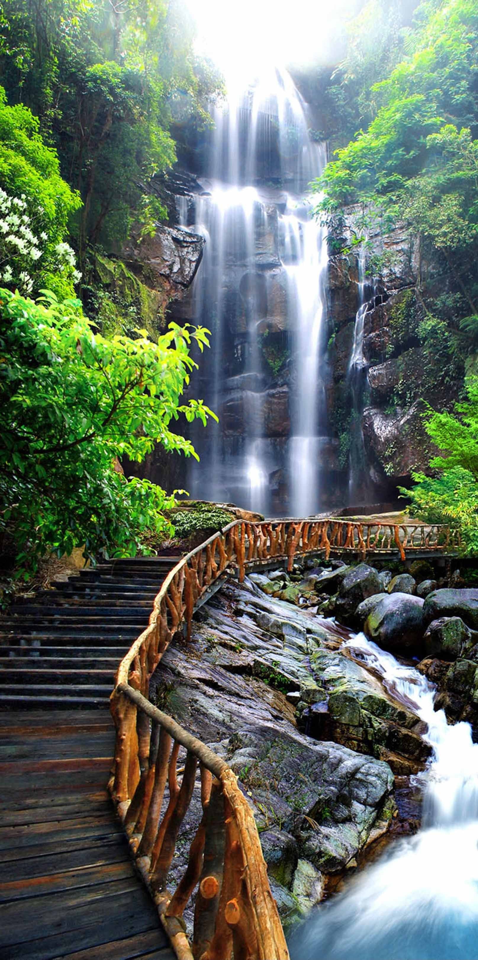 3D Waterfall Wood Bridge 1148 Stair Risers Wallpaper AJ Wallpaper 