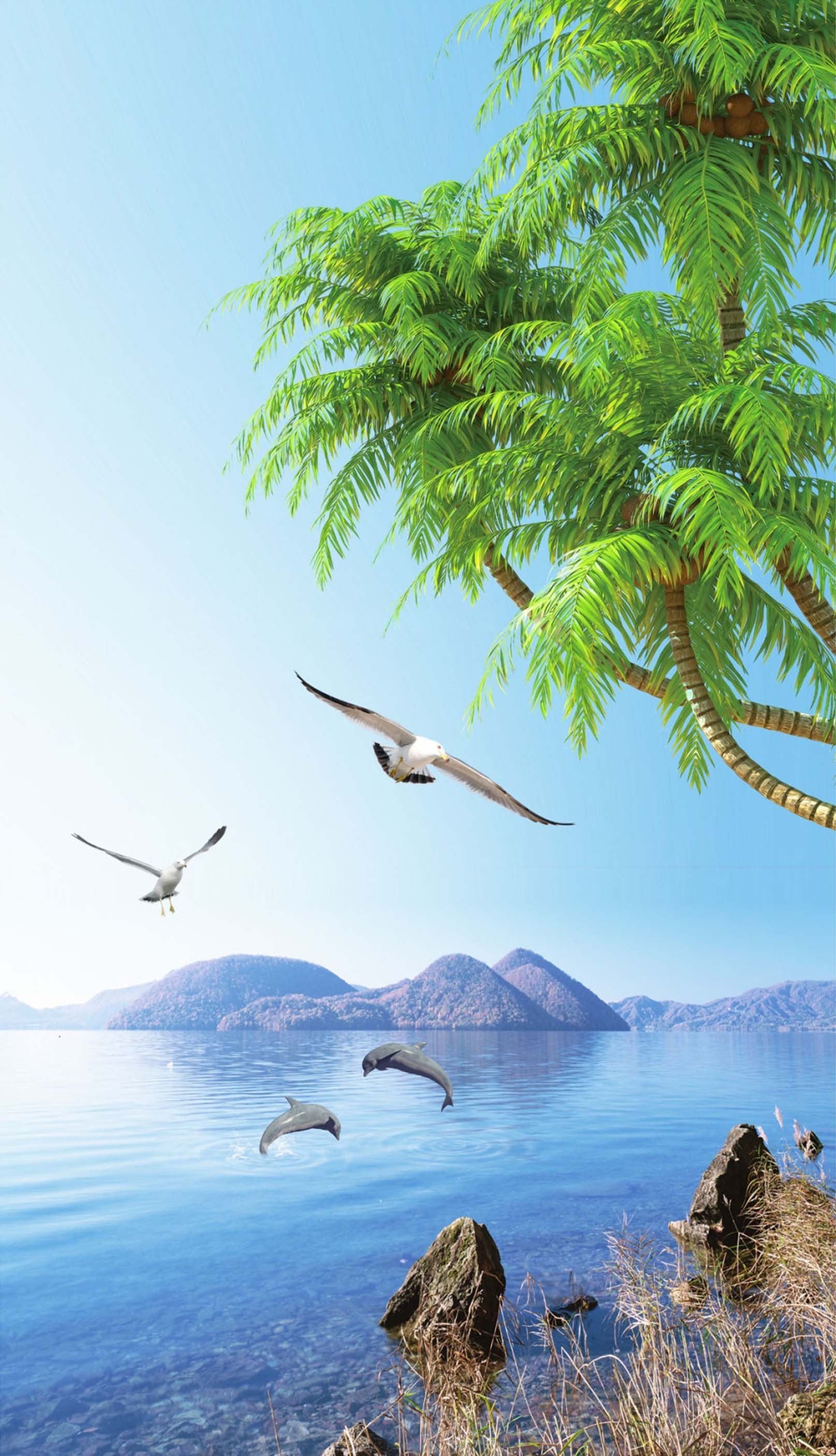 3D Sea Seagulls Dolphins 1419 Stair Risers Wallpaper AJ Wallpaper 