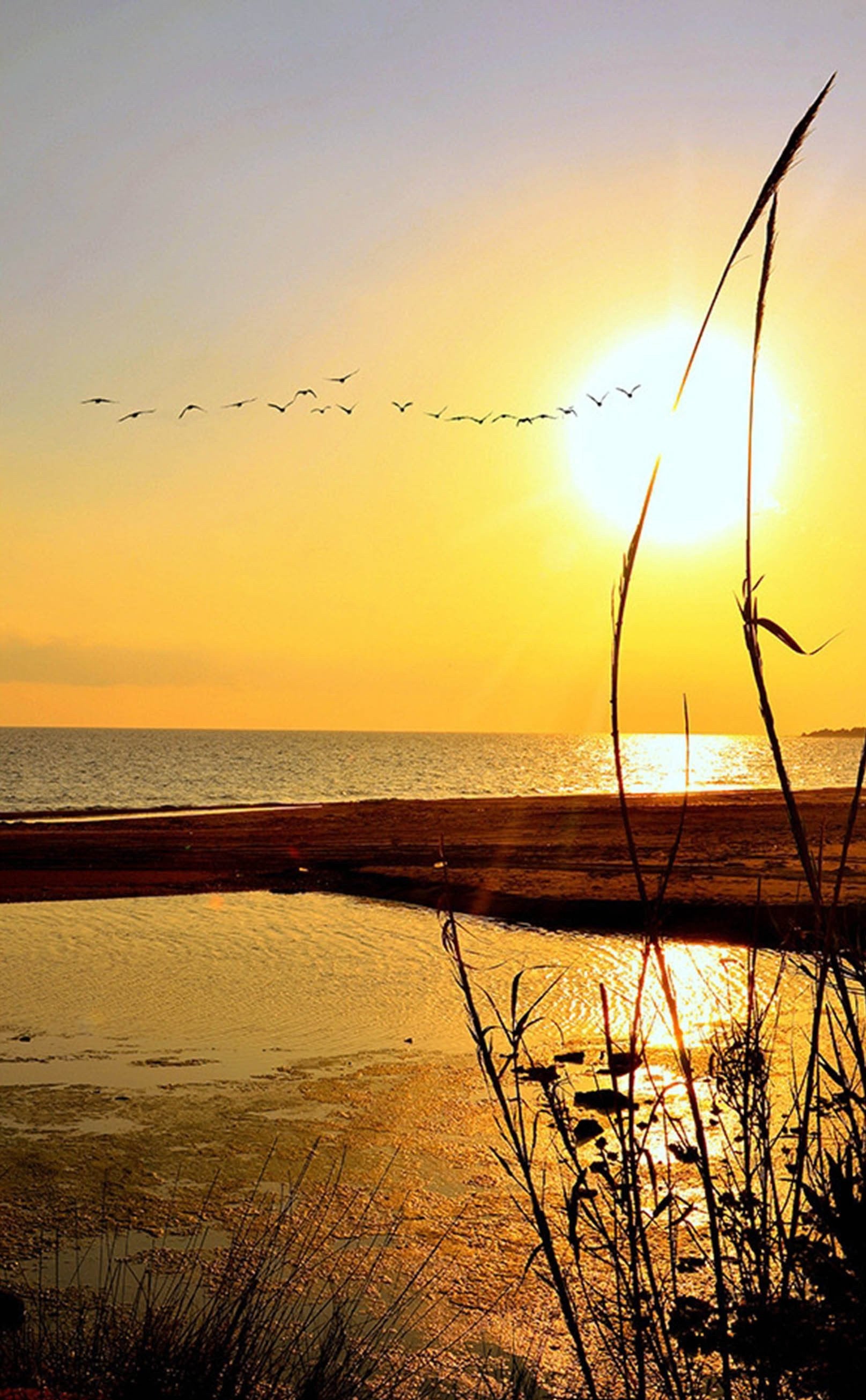 3D Sea Sunset Flying Seagulls 1501 Stair Risers Wallpaper AJ Wallpaper 