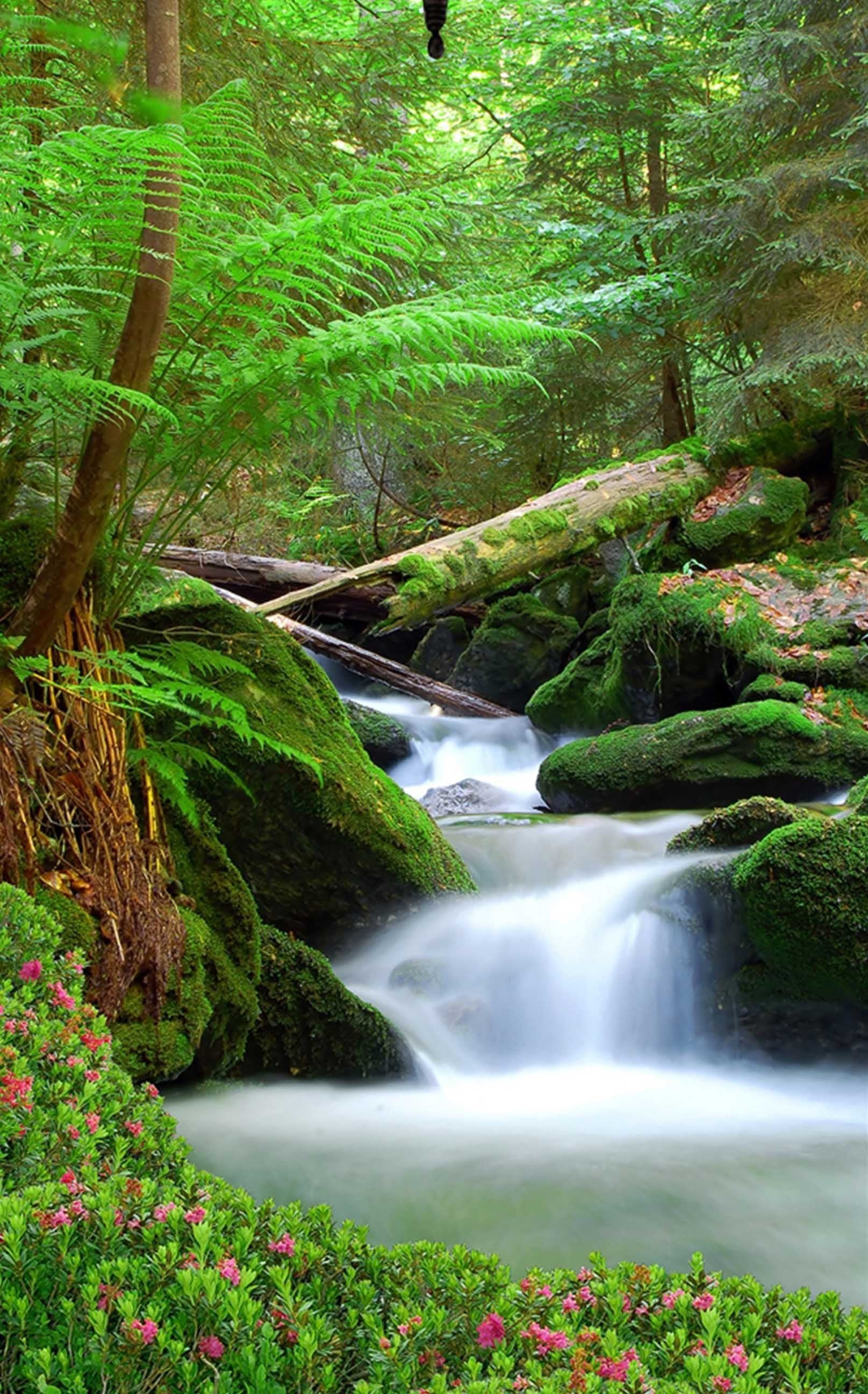 3D Forest Creek 1509 Stair Risers Wallpaper AJ Wallpaper 