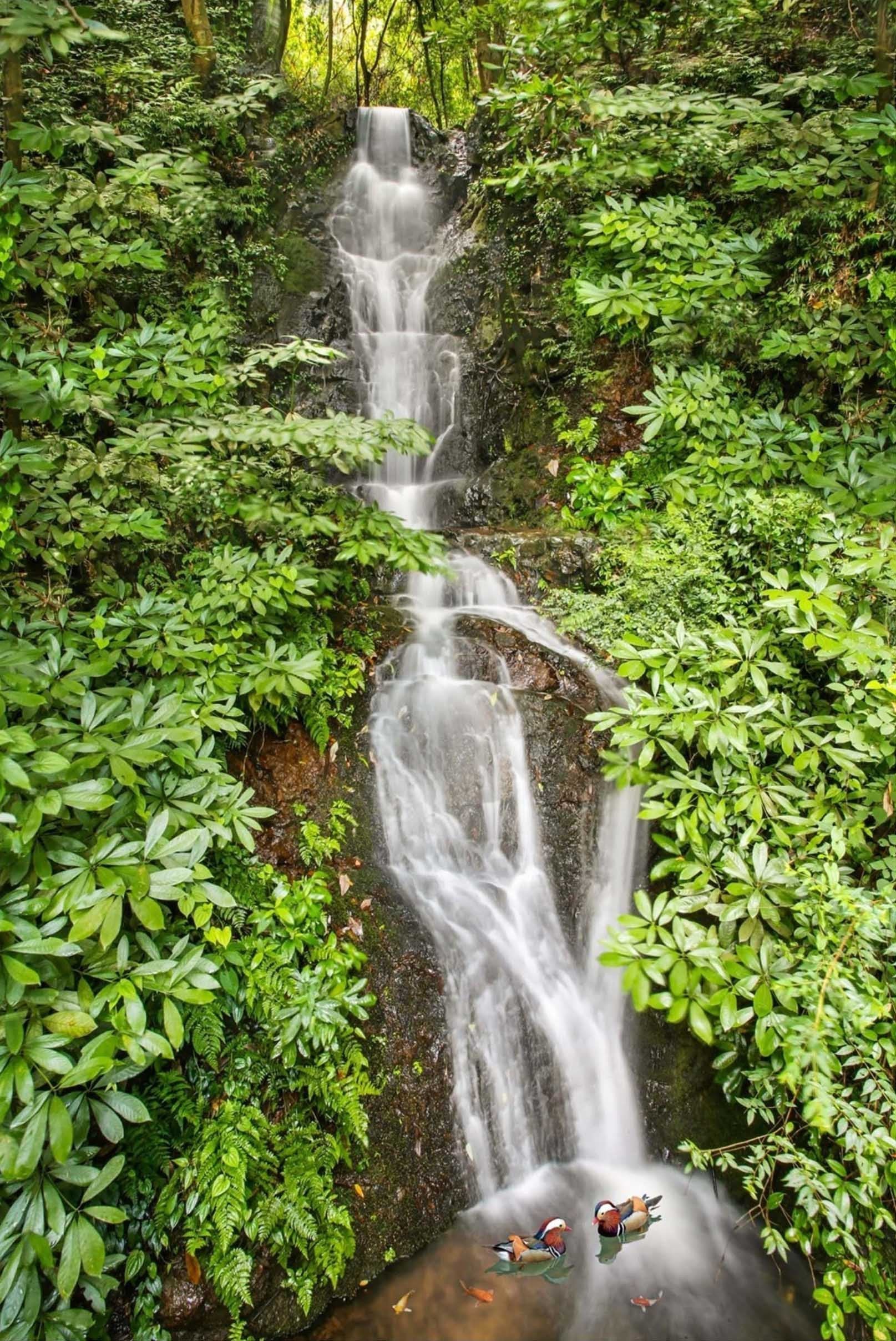 3D Flowing Stream 1404 Stair Risers Wallpaper AJ Wallpaper 