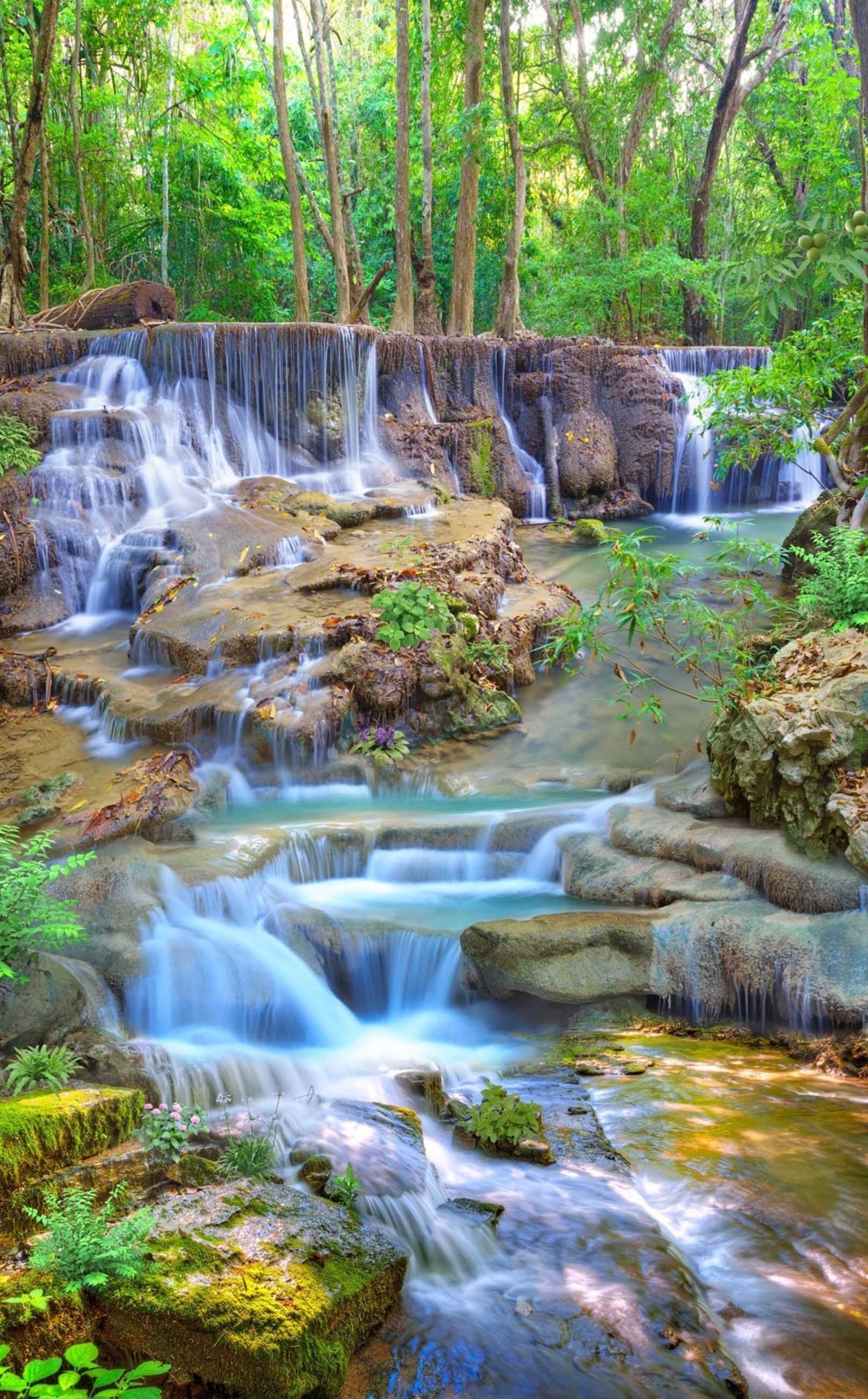 3D Pretty Forest River 417 Stair Risers Wallpaper AJ Wallpaper 