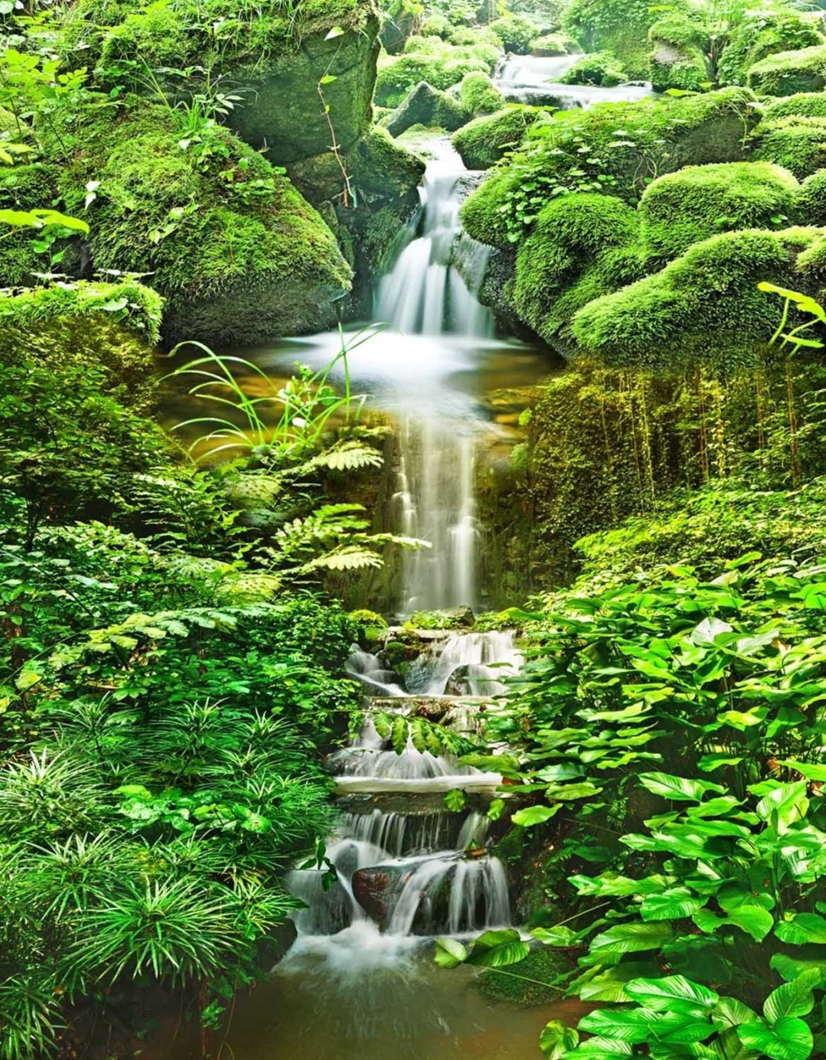 3D Quiet Stream 1400 Stair Risers Wallpaper AJ Wallpaper 