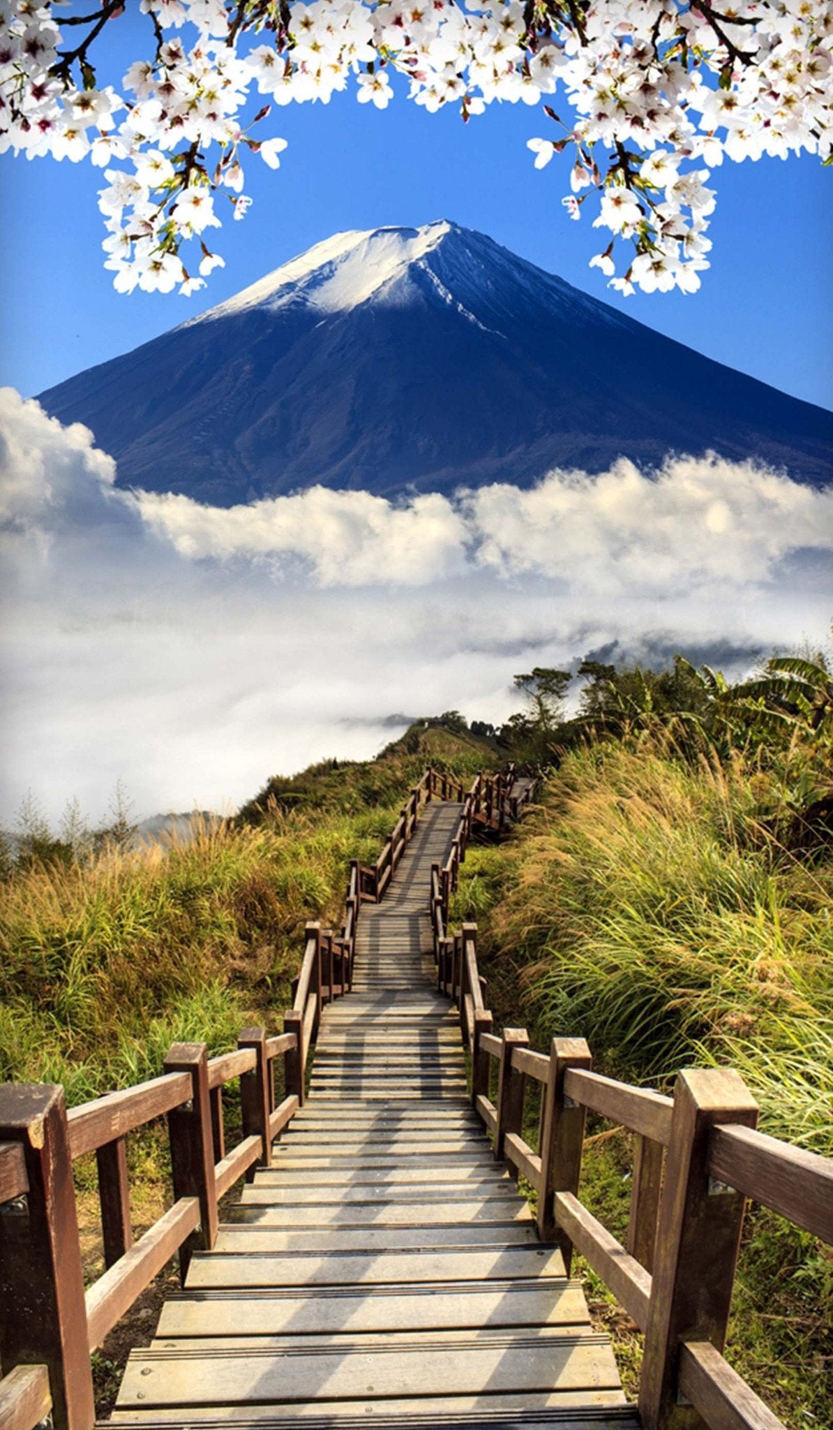 3D Mount Fuji Wooden Stairs 65 Door Mural Wallpaper AJ Wallpaper 