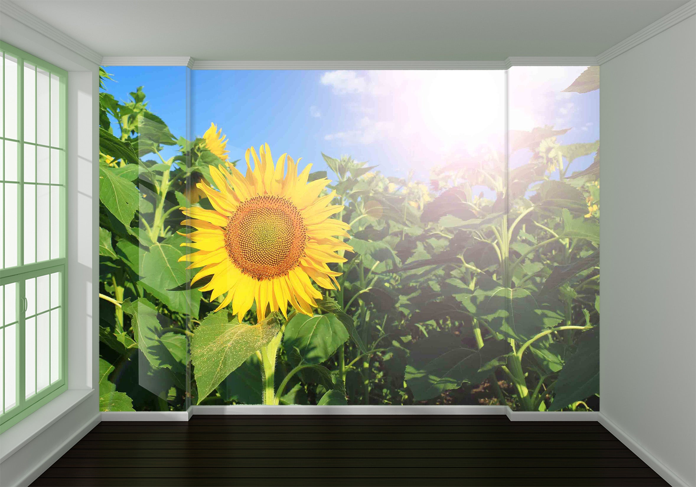 3D Sunflower 1024 Wall Murals