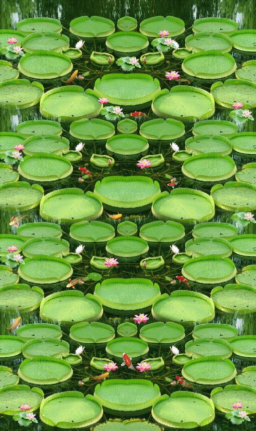 3D Pretty Lake Plants 761 Stair Risers Wallpaper AJ Wallpaper 