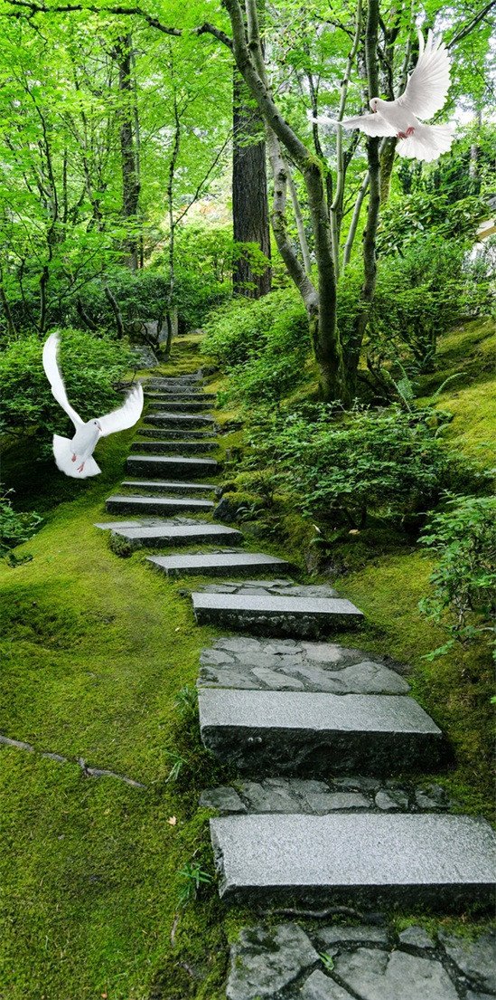 3D Forest Stairs Flying Birds 562 Stair Risers Wallpaper AJ Wallpaper 